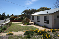 Back yard